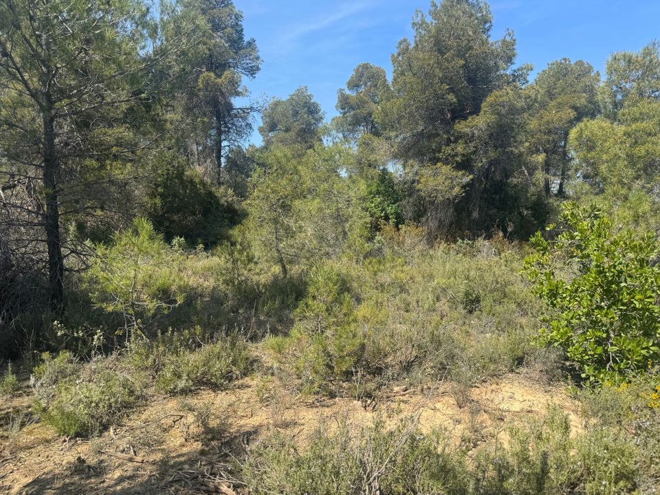 Tomt i Cretas, Teruel - bilde 5